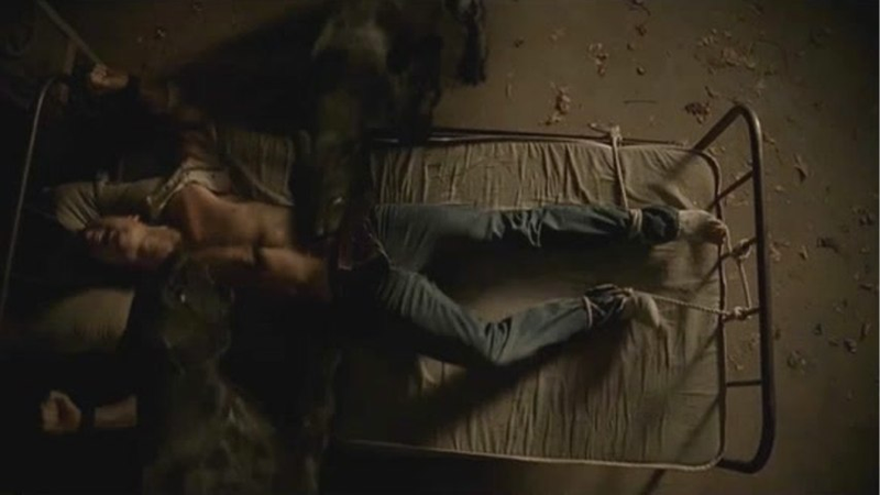 Illustration for article titled True Blood unleashes the sex panther (in your pants)